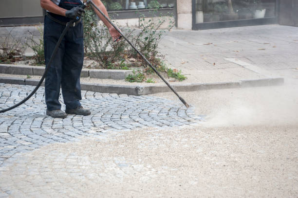 Pre-Holiday Cleaning in La Cresta, CA