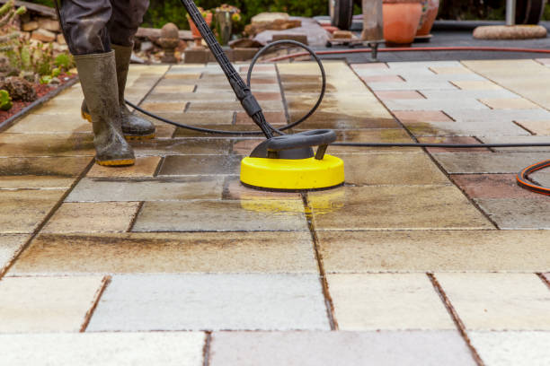 Best Gutter Cleaning  in La Cresta, CA